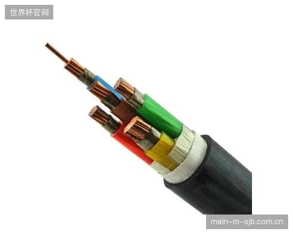 基于改性泡沫聚烯烃的绝缘层工艺有望在未来五年内成为主流，它将进一步降低电缆损耗并提升PIM性能